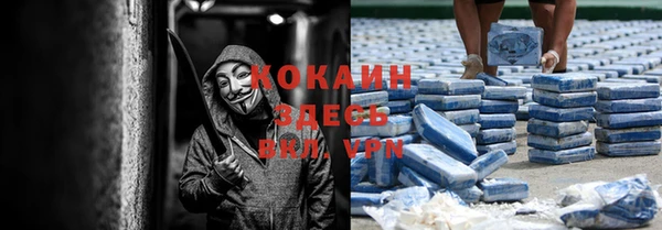экстази Богданович