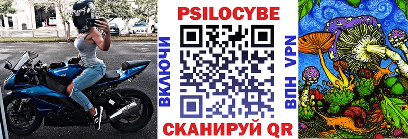 Галлюциногенные грибы Psilocybe  кракен ссылки  Бугульма  что такое наркотик 